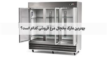 بهترین مارک یخچال مرغ‌ فروشی کدام است؟ راهنمای خرید تخصصی